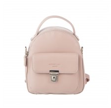 PETITE �������